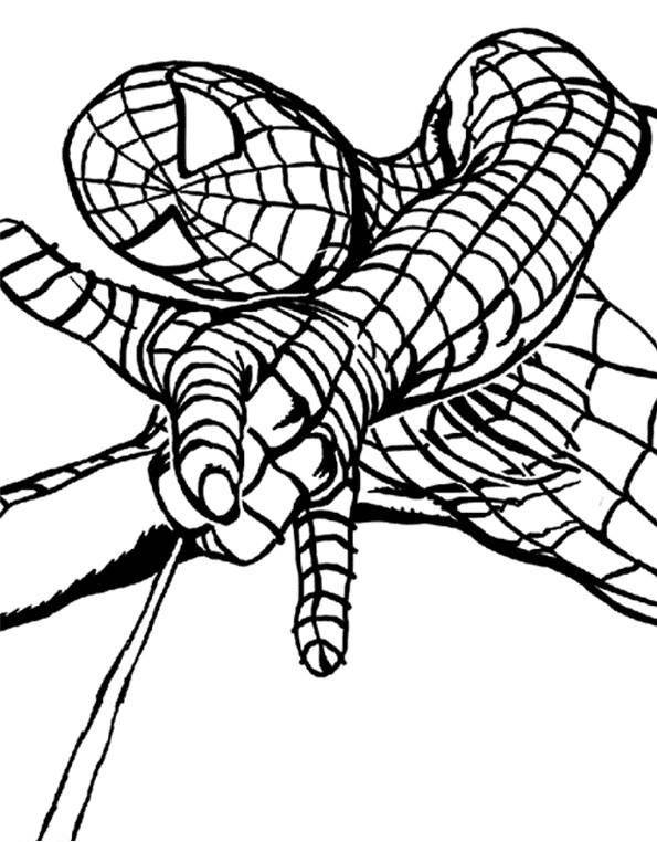 coloriage spiderman tisse sa toile
